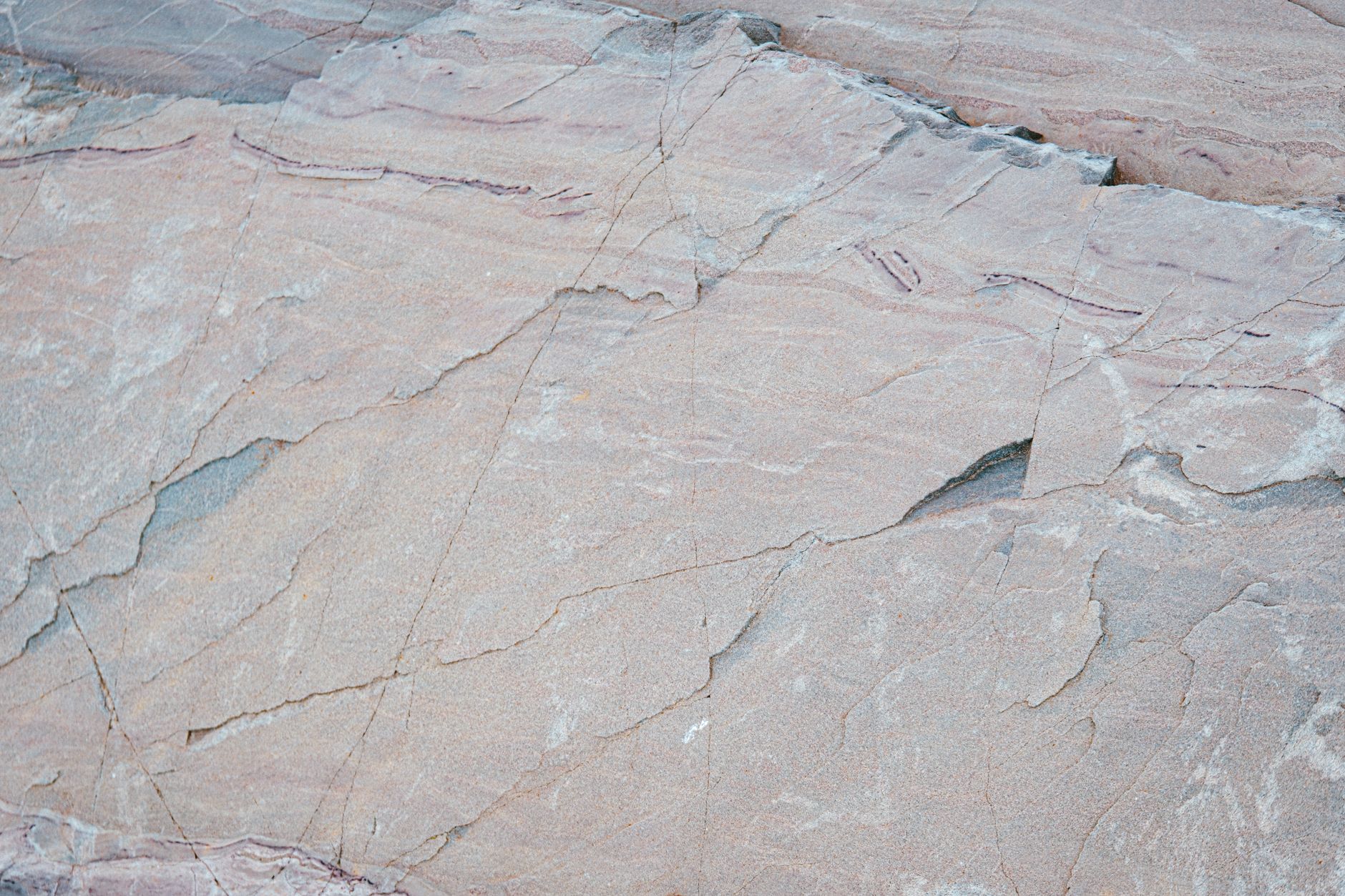 Quartzite Rock